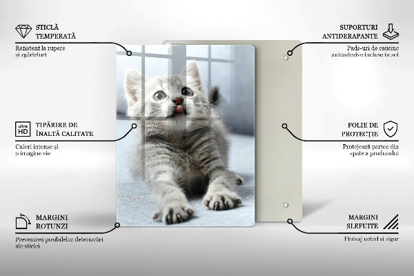 De vidrio templado Pequeño gatito lindo