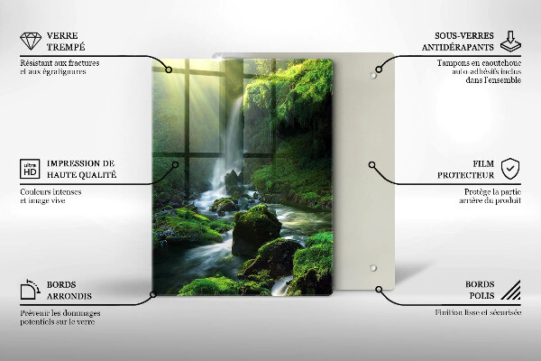 De vidrio templado Cascada en la selva