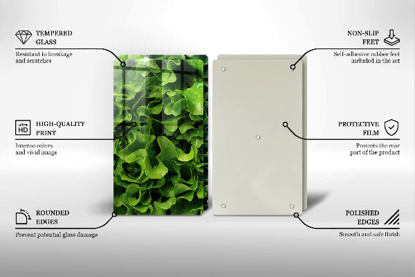 De vidrio templado Hojas de lechuga verde