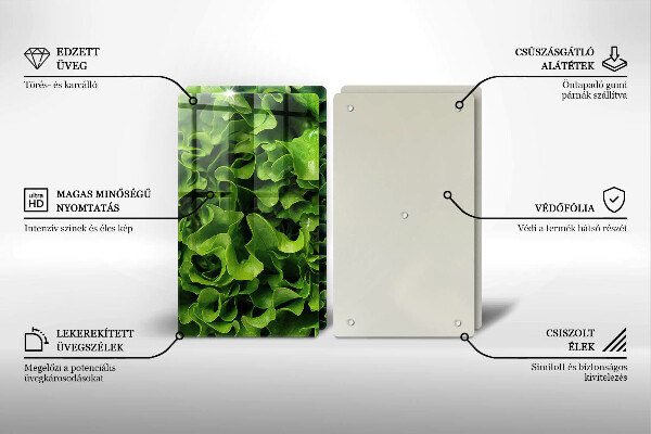 De vidrio templado Hojas de lechuga verde