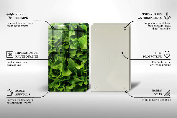 De vidrio templado Hojas de lechuga verde