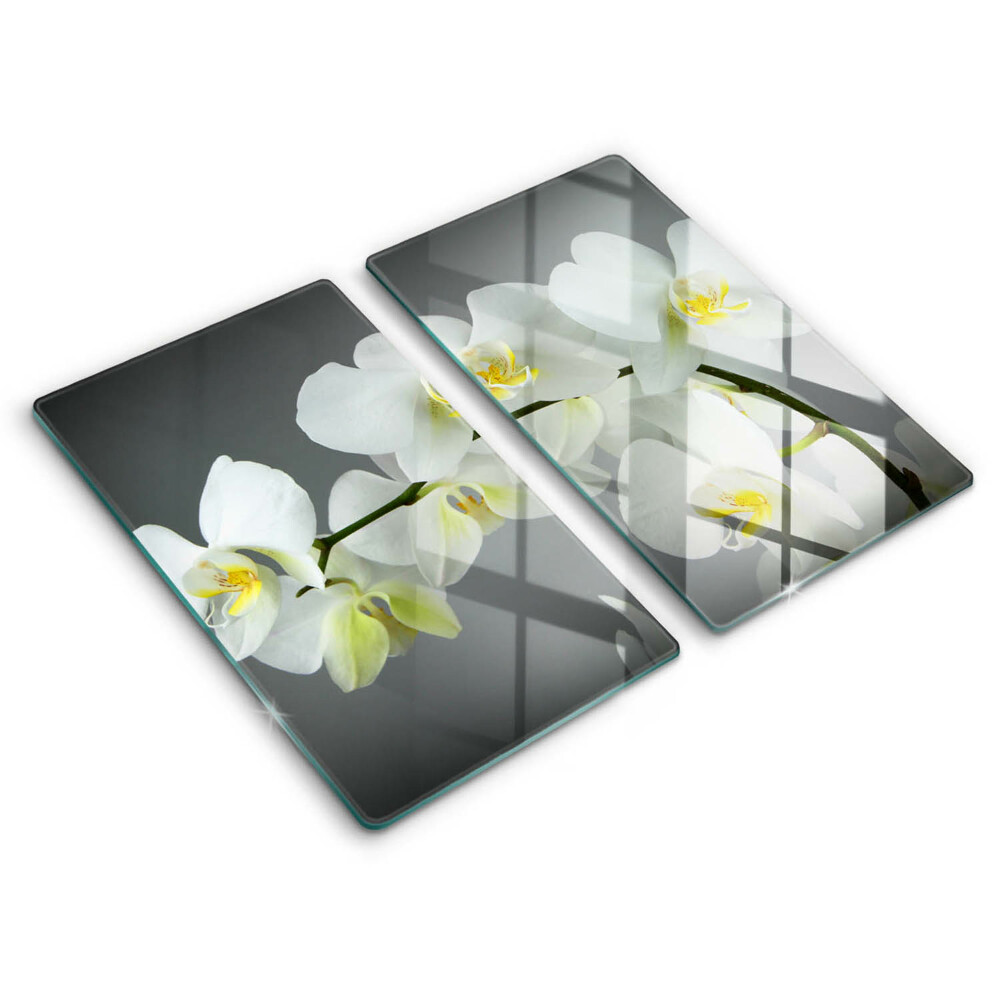 De vidrio templado Flores de orquídeas blancas