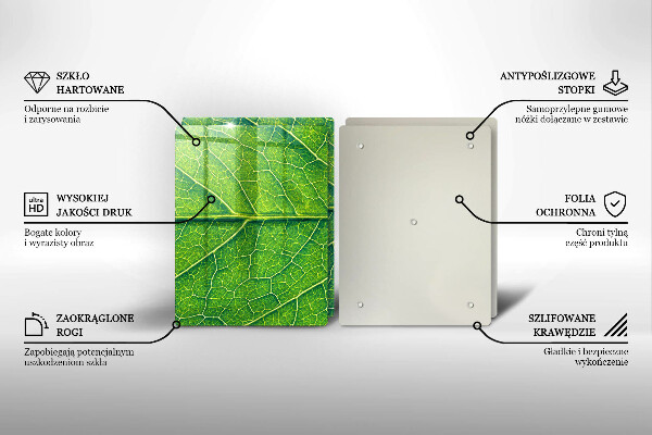 De vidrio templado Venas de las hojas naturales