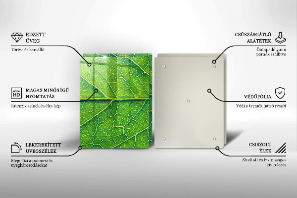 De vidrio templado Venas de las hojas naturales