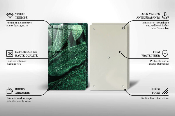 De vidrio templado Las hojas de la planta