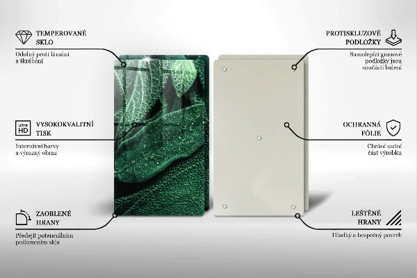 De vidrio templado Las hojas de la planta