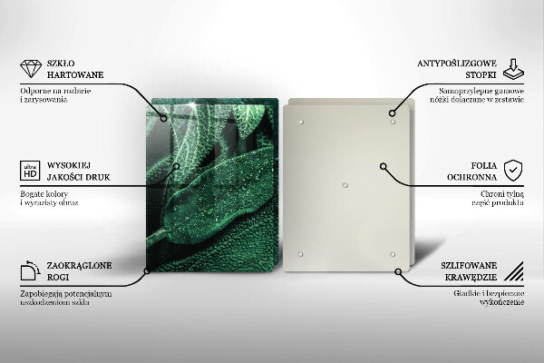 De vidrio templado Las hojas de la planta