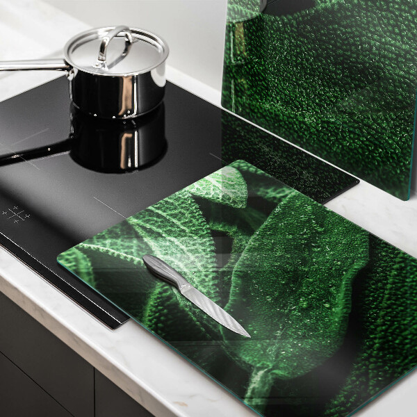 De vidrio templado Las hojas de la planta