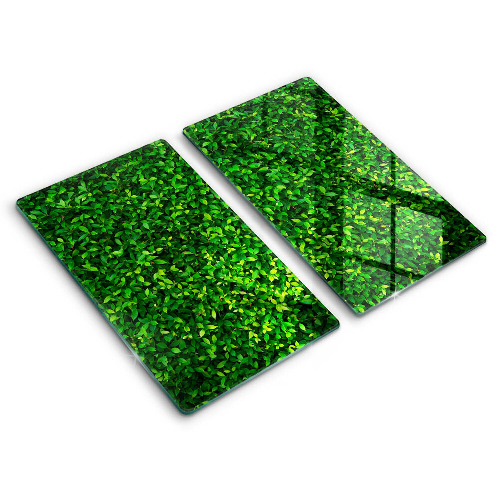De vidrio templado Planta con hojas pequeñas