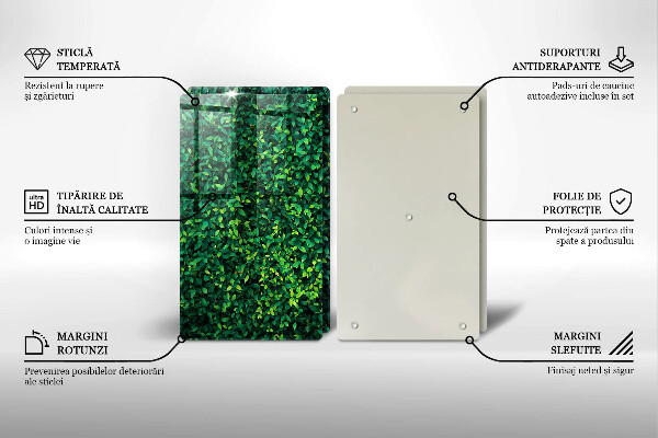 De vidrio templado Planta con hojas pequeñas