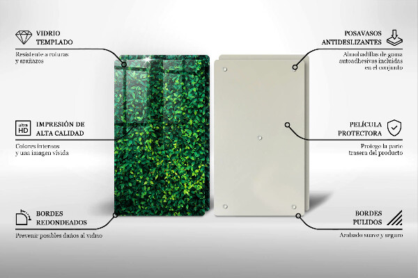 De vidrio templado Planta con hojas pequeñas