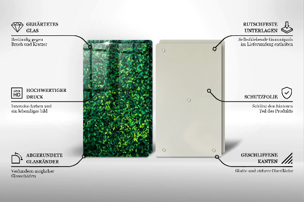 De vidrio templado Planta con hojas pequeñas