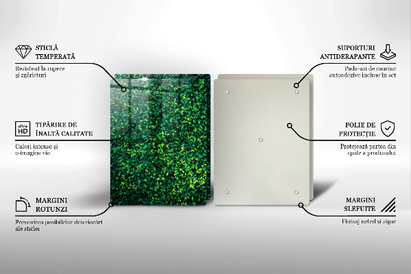 De vidrio templado Planta con hojas pequeñas