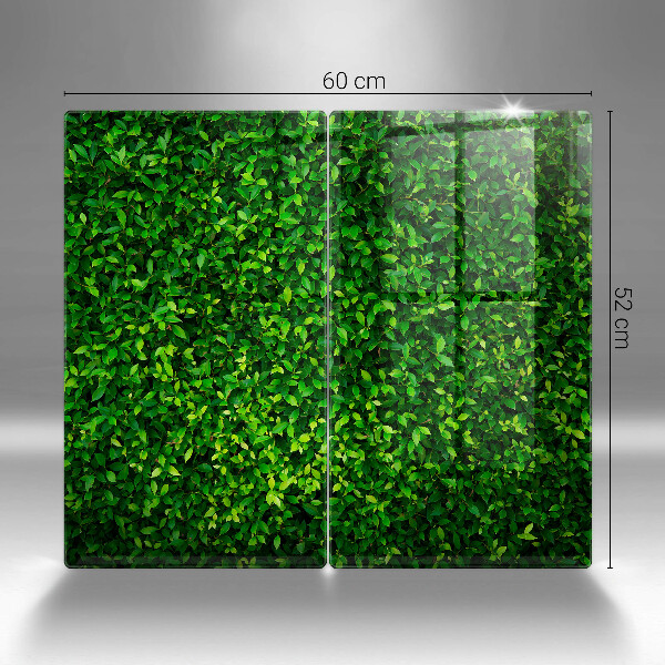 De vidrio templado Planta con hojas pequeñas