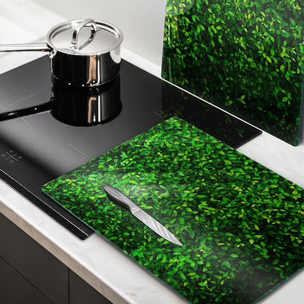 De vidrio templado Planta con hojas pequeñas