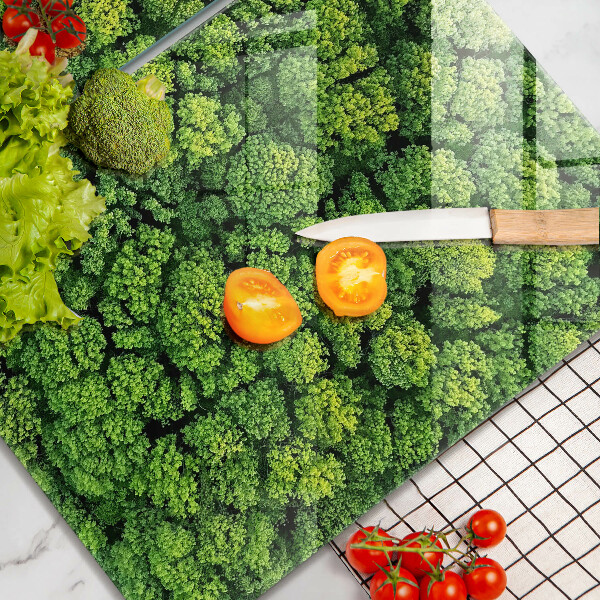 De vidrio templado Planta de musgo natural