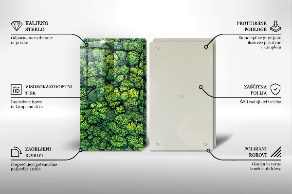 De vidrio templado Planta de musgo natural