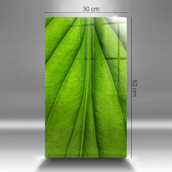 Tabla de cortar de vidrio Hoja de vena natural