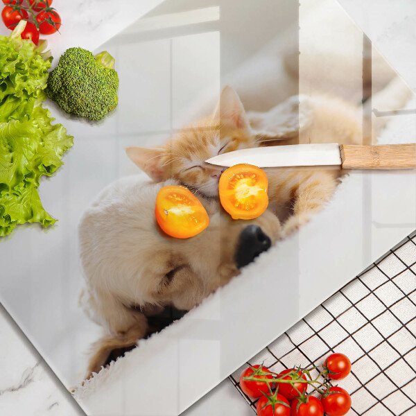 Tabla de cortar de vidrio Animales perro y gato