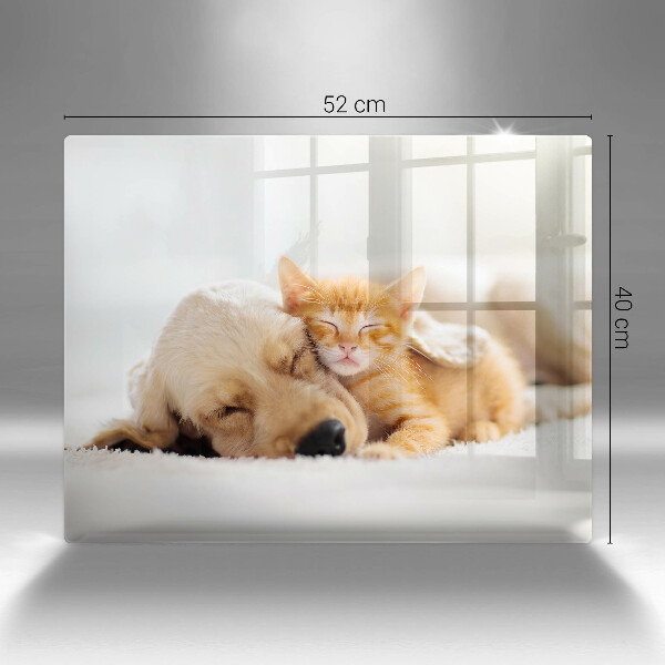 Tabla de cortar de vidrio Animales perro y gato