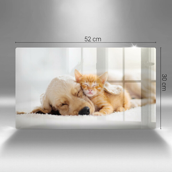 Tabla de cortar de vidrio Animales perro y gato