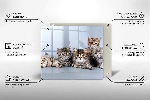 De vidrio templado Dulces gatitos