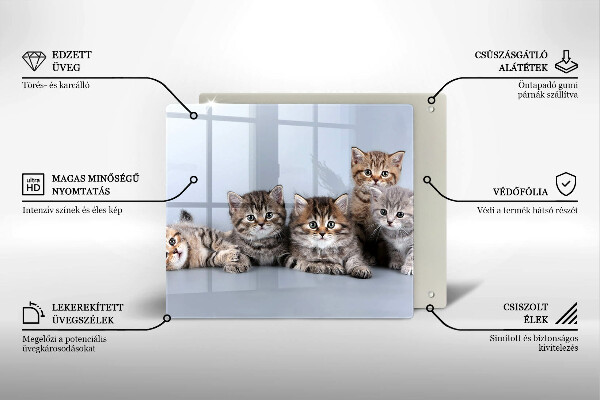 De vidrio templado Dulces gatitos