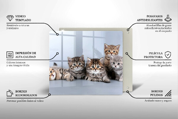 De vidrio templado Dulces gatitos