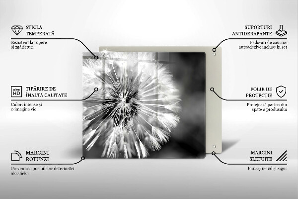 De vidrio templado Un delicado diente de león