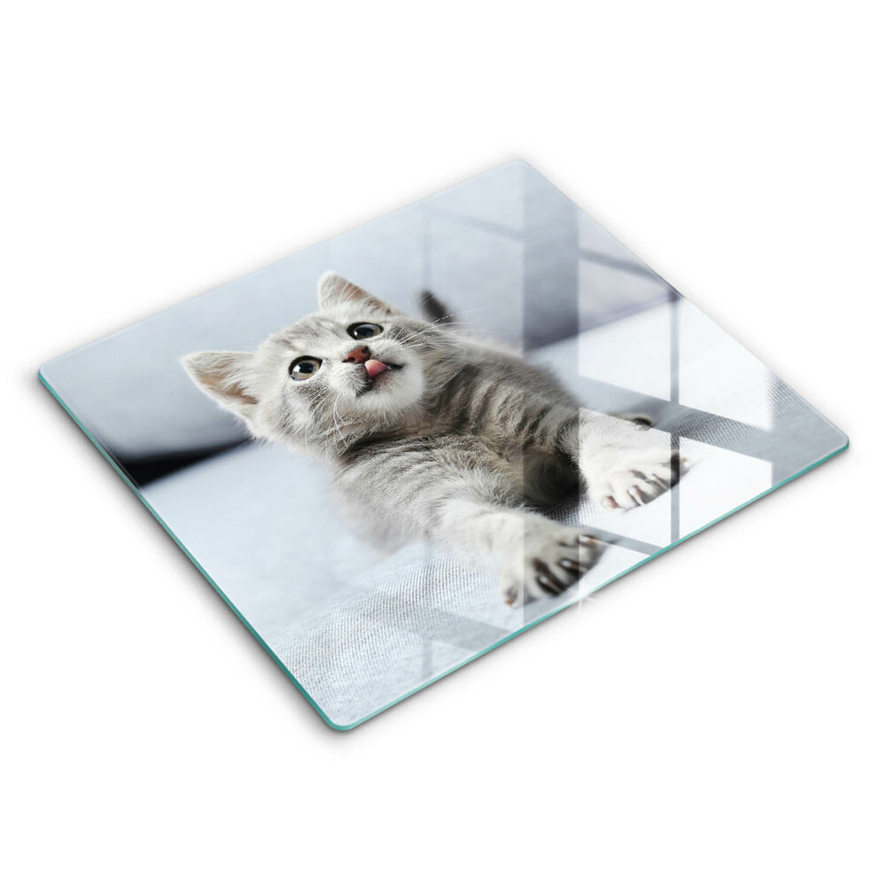 De vidrio templado Pequeño gatito lindo