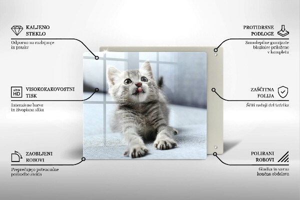 De vidrio templado Pequeño gatito lindo