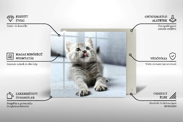 De vidrio templado Pequeño gatito lindo