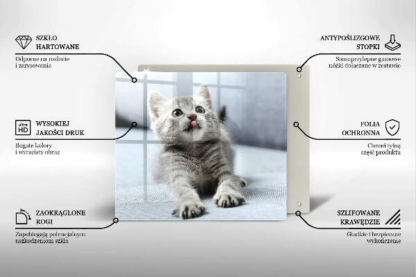 De vidrio templado Pequeño gatito lindo