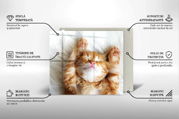 De vidrio templado Pequeño gatito lindo