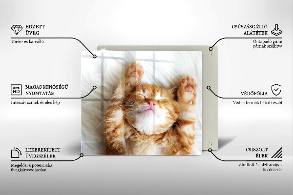 De vidrio templado Pequeño gatito lindo