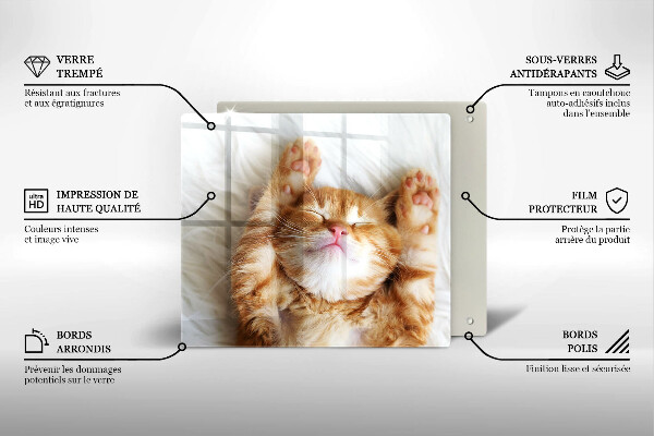De vidrio templado Pequeño gatito lindo