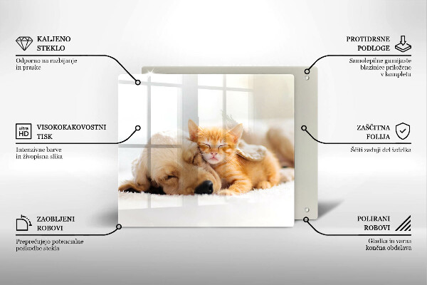 De vidrio templado Animales perro y gato