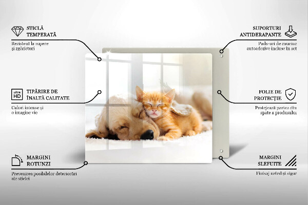 De vidrio templado Animales perro y gato