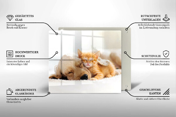 De vidrio templado Animales perro y gato