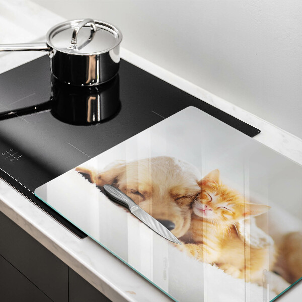 De vidrio templado Animales perro y gato