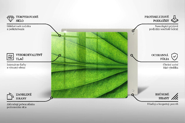 De vidrio templado Hoja de vena natural