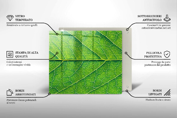 De vidrio templado Venas de las hojas naturales