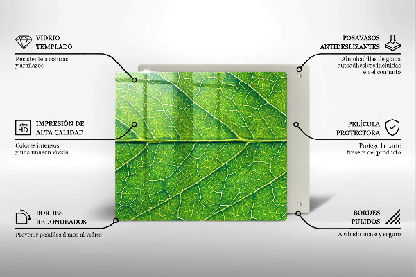 De vidrio templado Venas de las hojas naturales