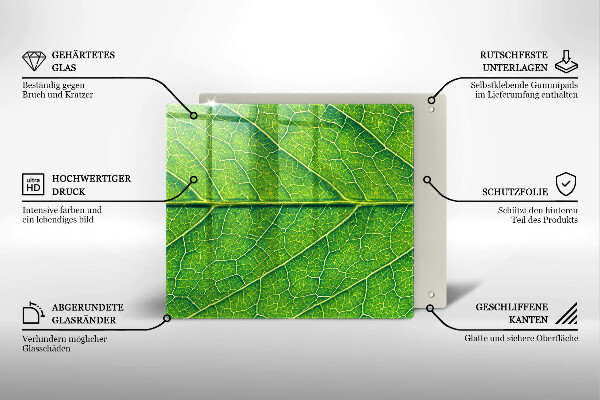 De vidrio templado Venas de las hojas naturales