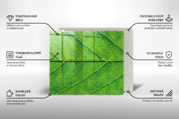 De vidrio templado Venas de las hojas naturales