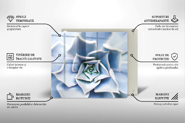 De vidrio templado Planta de flores