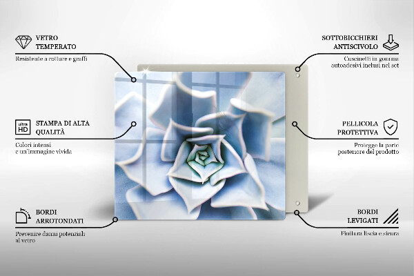 De vidrio templado Planta de flores