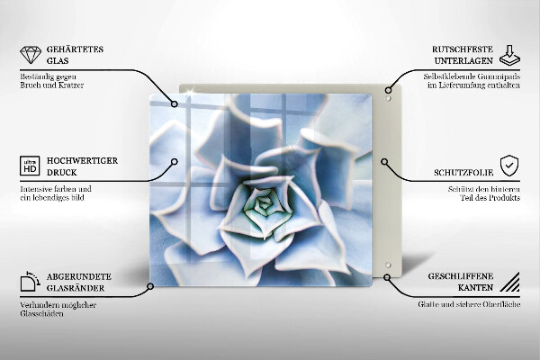 De vidrio templado Planta de flores