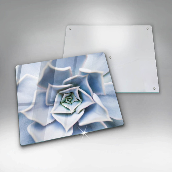 De vidrio templado Planta de flores