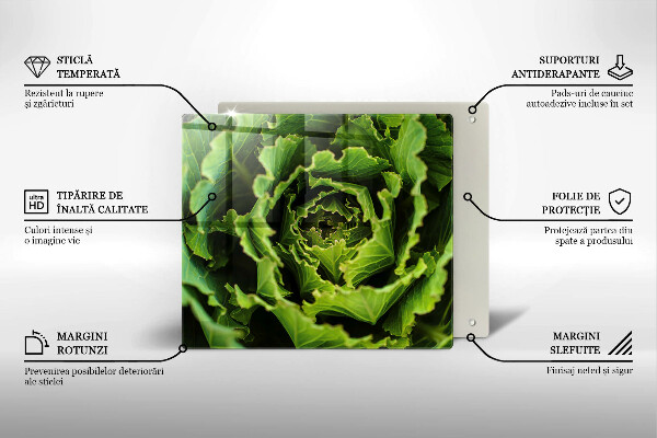 De vidrio templado Comer hojas de lechuga
